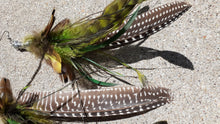 Load image into Gallery viewer, Extra Large Feather Earrings Kargo Fresh