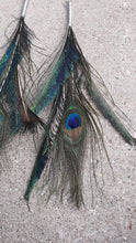Load image into Gallery viewer, Extra Large Peacock Feather Earrings Kargo Fresh
