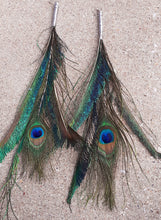 Load image into Gallery viewer, Extra Large Peacock Feather Earrings Kargo Fresh