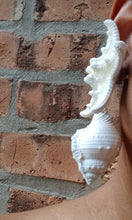 Load image into Gallery viewer, Giant sea shell earrings Giant Kargo Fresh