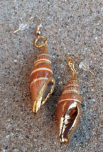 Load image into Gallery viewer, Natural Shell Dipped in 24k gold Dangle Earrings Kargo Fresh