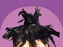 Load image into Gallery viewer, Avant Garde Feather Collar Necklace