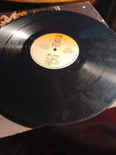 Load image into Gallery viewer, The Mistress & DJ Madame E Mic Jack Vinyl record hip hop Kargo Fresh