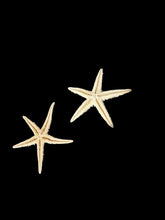 Load image into Gallery viewer, Handmade Authentic Genuine sea Starfish Clip On Earrings real starfish