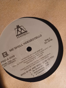 Meshell Ndegeocello Who Is He And What Is He DJ USA 12"