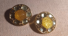 Load image into Gallery viewer, Vintage Chunky acrylic clip on earrings
