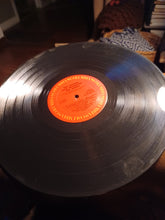 Load image into Gallery viewer, The Guitars that destroyed the world Vinyl Record

1973

Cover VG
