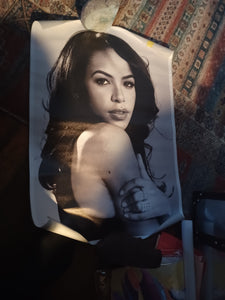 Aaliyah canvas print