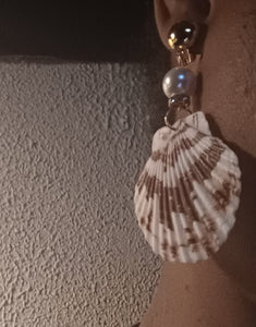 Natural Shell Dangle  Earrings