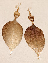 Load image into Gallery viewer, Abstract Leaf design Earrings Kargo Fresh
