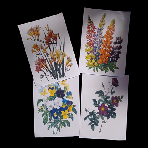 Antique flower poster print set of 4 Kargo Fresh