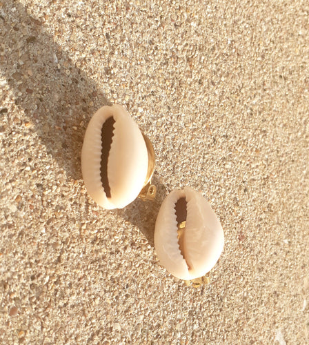 Cowrie Shell Clip On Stud Earrings Kargo Fresh