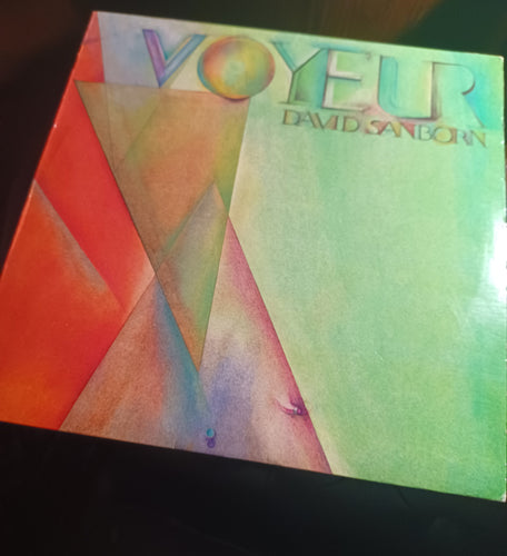 David Sandorn Voyeur Vinyl 1981 Kargo Fresh