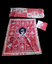 Load image into Gallery viewer, Delta sigma theta wall hanging scarf and pillow cover Kargo Fresh
