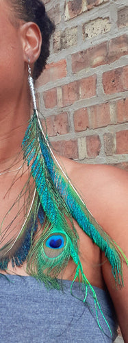 Extra Large Peacock Feather Earrings Kargo Fresh