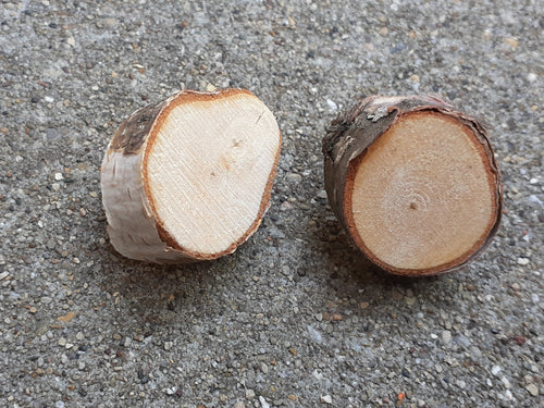 Handmade BIRCHWOOD Branch Chunky Stud Earrings Kargo Fresh