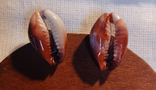 Load image into Gallery viewer, Large Cowrie Shell Clip On Stud Earrings Kargo Fresh
