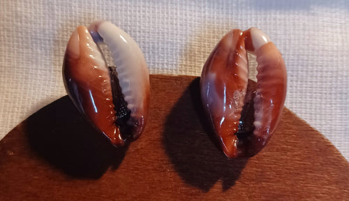 Large Cowrie Shell Clip On Stud Earrings Kargo Fresh