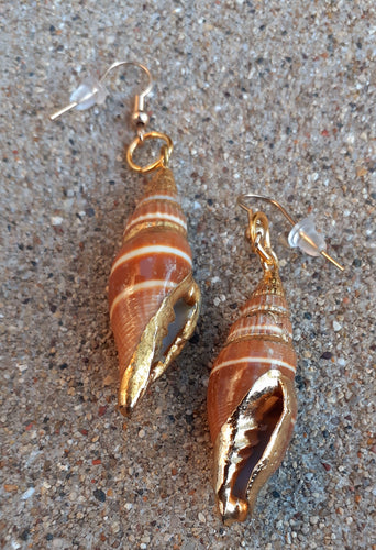 Natural Shell Dipped in 24k gold Dangle  Earrings Kargo Fresh