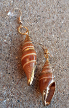 Load image into Gallery viewer, Natural Shell Dipped in 24k gold Dangle  Earrings Kargo Fresh
