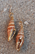 Load image into Gallery viewer, Natural Shell Dipped in 24k gold Dangle  Earrings Kargo Fresh
