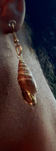 Load image into Gallery viewer, Natural Shell Dipped in 24k gold Dangle  Earrings Kargo Fresh
