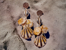 Load image into Gallery viewer, Acrylic Sea Shell Earrings
