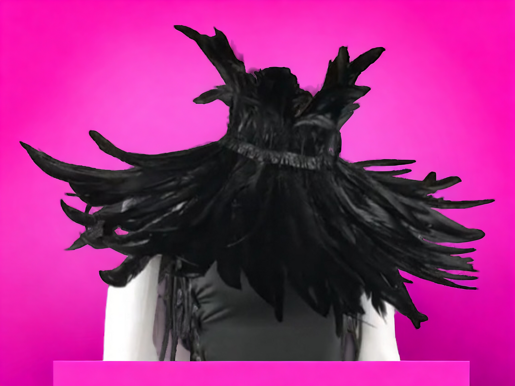 Avant Garde Feather Collar Necklace