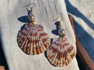 Natural Shell Dangle  Earrings