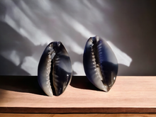 Load image into Gallery viewer, Large Cowrie Shell Clip On Stud Earrings
