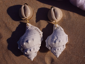 Large acrylic sea shell clip on earrings