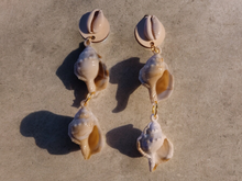 Load image into Gallery viewer, Large acrylic sea shell clip on earrings
