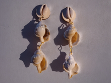 Load image into Gallery viewer, Large acrylic sea shell clip on earrings
