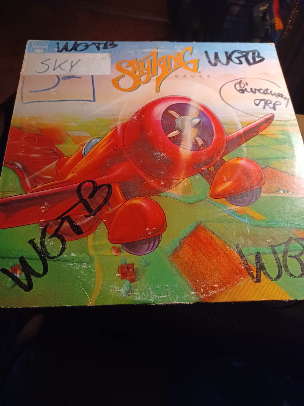 SKYKING--SECRET SAUCE--PROMO-VINYL ALBUM Kargo Fresh