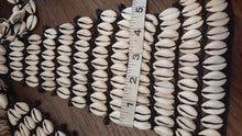 Load image into Gallery viewer, Vintage Handmade Cowrie Shell Bikini Bra and Belt Kargo Fresh
