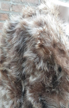 Load image into Gallery viewer, Vintage Racoon Fur Coat Small 1970s Kargo Fresh
