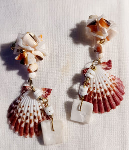 Vintage genuine sea shell clip on earrings 1970s Kargo Fresh