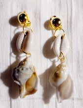 Load image into Gallery viewer, Handmade acrylic and cowrie Shell Clip On Earrings Beach Boho
