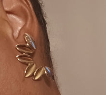 Load image into Gallery viewer, Unique Cowrie Shell cluster Earrings pierced ears
