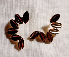Load image into Gallery viewer, Unique Cowrie Shell cluster Earrings pierced ears
