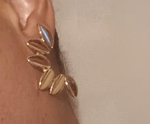 Load image into Gallery viewer, Unique Cowrie Shell cluster Earrings pierced ears
