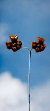 Load image into Gallery viewer, Antique Copper Bow Stud Clip On Earrings 1940s rare hinge back style
