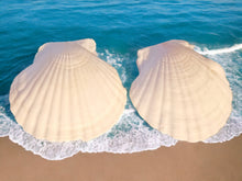 Load image into Gallery viewer, Handmade Xl Natural Sea Shell Handmade Earrings
