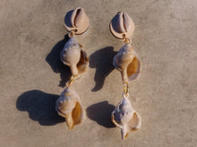 Load image into Gallery viewer, Large acrylic Sea Shell Clip On Earrings Beach Boho Style
