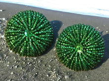 Load image into Gallery viewer, Vintage Handmade Sequin Bead button Clip On Earrings 1980s
