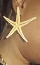 Load image into Gallery viewer, Handmade Authentic Genuine sea Starfish Clip On Earrings real starfish
