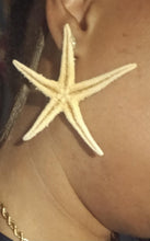 Load image into Gallery viewer, Pierced ears Handmade authentic genuine Sea Starfish earrings

