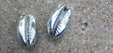 Load image into Gallery viewer, Clip On large Cowrie Shell Cluster Earrings silver
