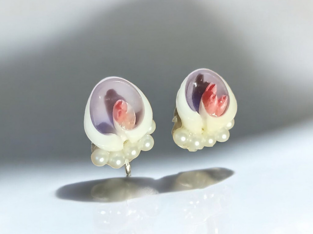Vintage sea shell clip on studs 1970s